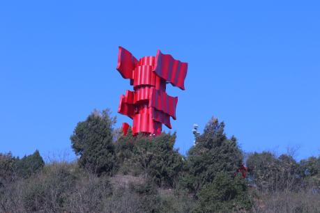 从革命烽火到千年茶韵——一场跨越时空的青春实践在信阳展开